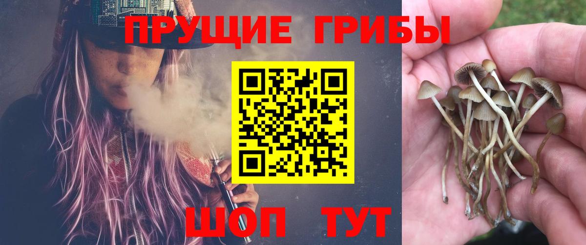 Галлюциногенные грибы мицелий Рославль